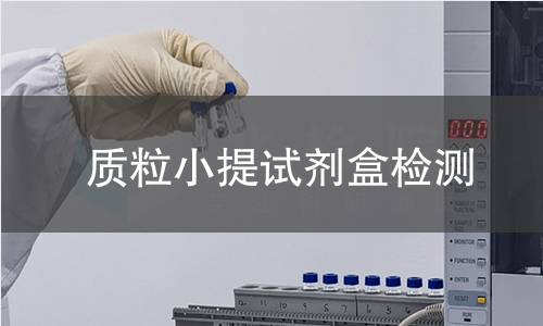 质粒小提试剂盒检测