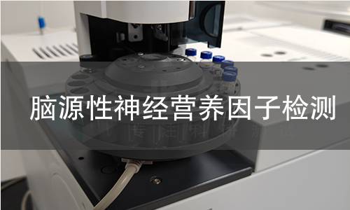 脑源性神经营养因子检测