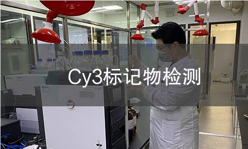 Cy3标记物检测,Cy3标记物检测机构,Cy3标记物检测报告,北检(北京)检测技术研究院检测中心