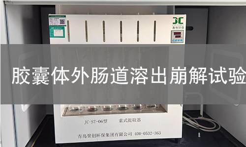 胶囊体外肠道溶出崩解试验