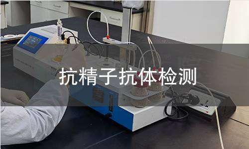 抗精子抗体检测
