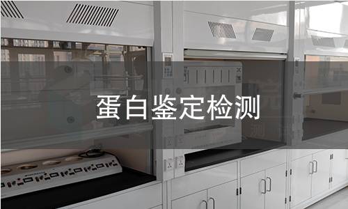 蛋白鉴定检测,蛋白鉴定检测机构,蛋白鉴定检测报告,北检检测中心
