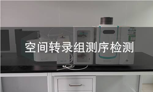 空间转录组测序检测