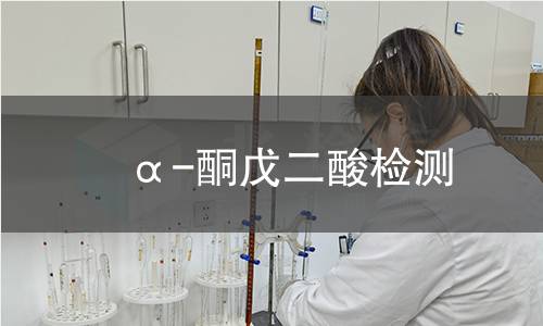 α-酮戊二酸检测