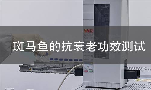 斑马鱼的抗衰老功效测试,斑马鱼的抗衰老功效测试机构,斑马鱼的抗衰老功效测试报告,北检检测中心