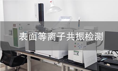 表面等离子共振检测