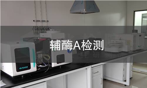 辅酶A检测