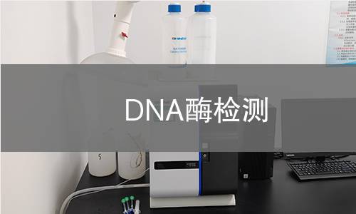 DNA酶检测,DNA酶检测机构,DNA酶检测报告,北检研究院检测中心