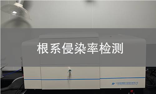 根系侵染率检测
