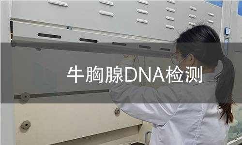 牛胸腺DNA检测
