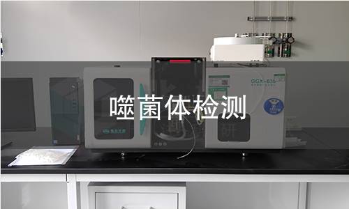 噬菌体检测
