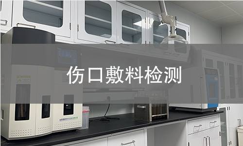 伤口敷料检测