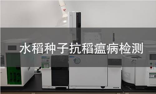水稻种子抗稻瘟病检测