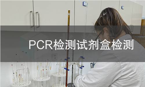 PCR检测试剂盒检测