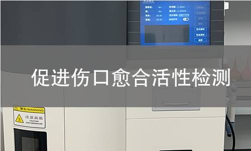 促进伤口愈合活性检测