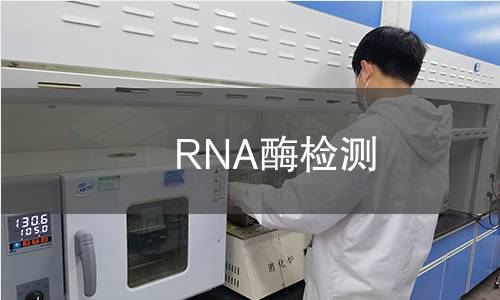 RNA酶检测