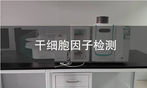 干细胞因子检测