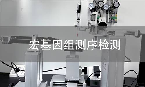 宏基因组测序检测