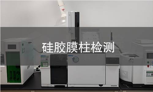 硅胶膜柱检测