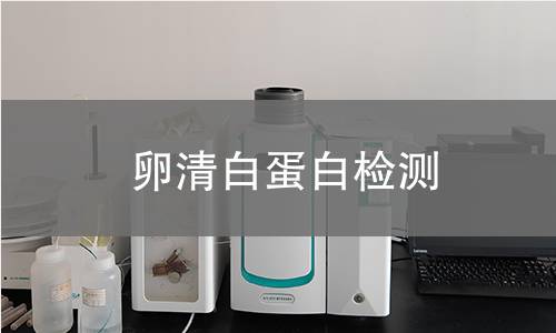 卵清白蛋白检测