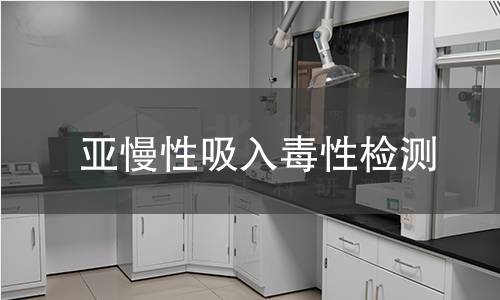亚慢性吸入毒性检测