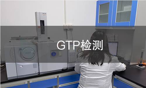 GTP检测