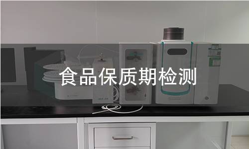 食品保质期检测