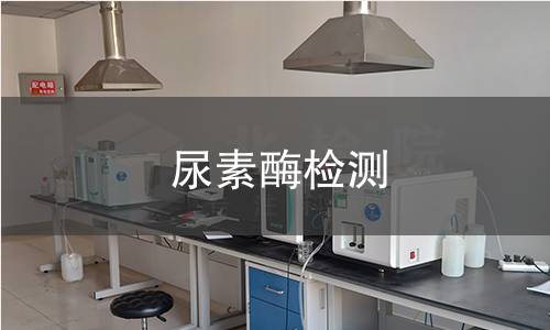 尿素酶检测