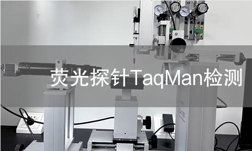 荧光探针TaqMan检测