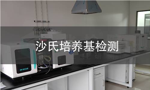 沙氏培养基检测