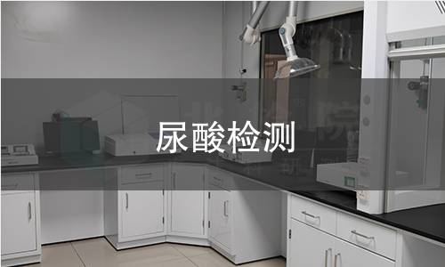 尿酸检测