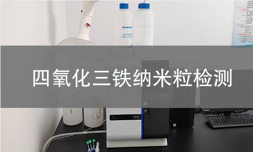 四氧化三铁纳米粒检测