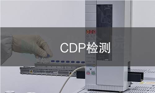 CDP检测