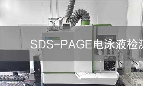 SDS-PAGE电泳液检测