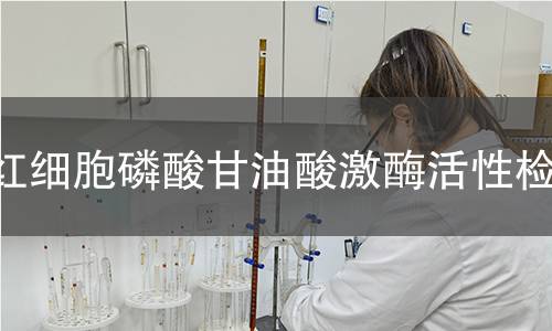 红细胞磷酸甘油酸激酶活性检测