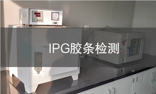 IPG胶条检测