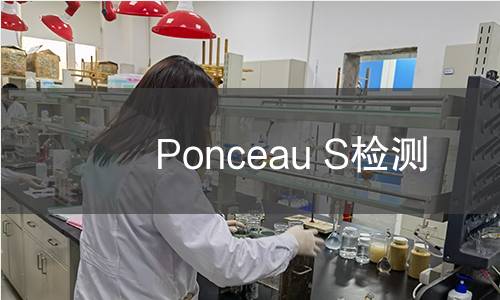 Ponceau S检测