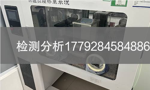 检测分析1779284584886检测