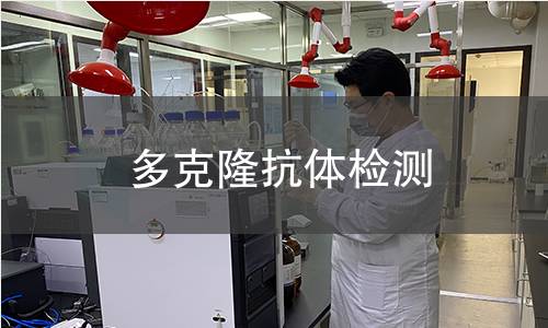 多克隆抗体检测