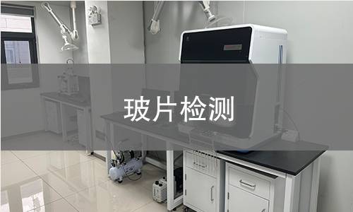 玻片检测