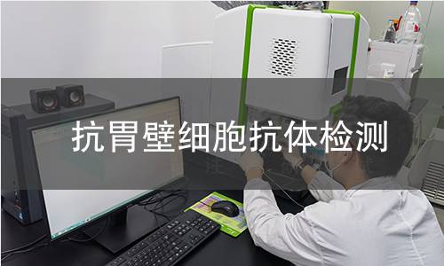 抗胃壁细胞抗体检测,抗胃壁细胞抗体检测机构,自身免疫性胃炎辅助诊断