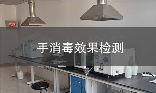 手消毒效果检测,手消毒效果检测机构,手消毒剂杀灭细菌效果验证