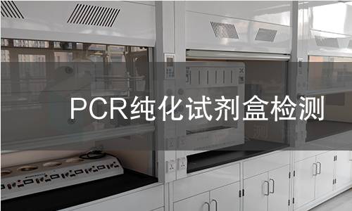 PCR纯化试剂盒检测