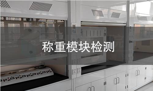 称重模块检测