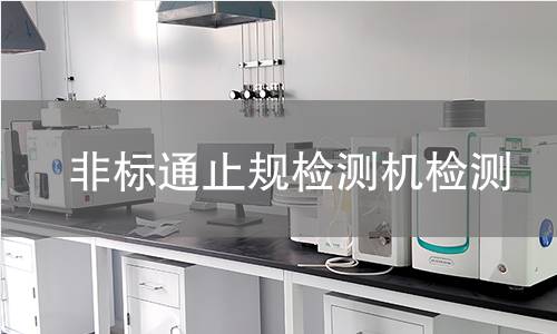 非标通止规检测机检测