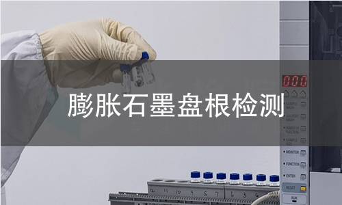 膨胀石墨盘根检测