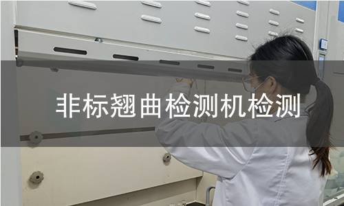 非标翘曲检测机检测