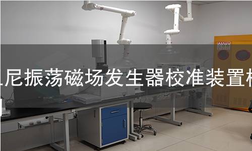阻尼振荡磁场发生器校准装置检测