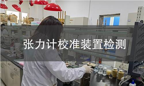 张力计校准装置检测