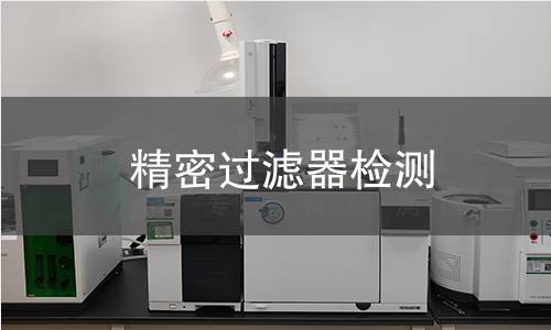 精密过滤器检测